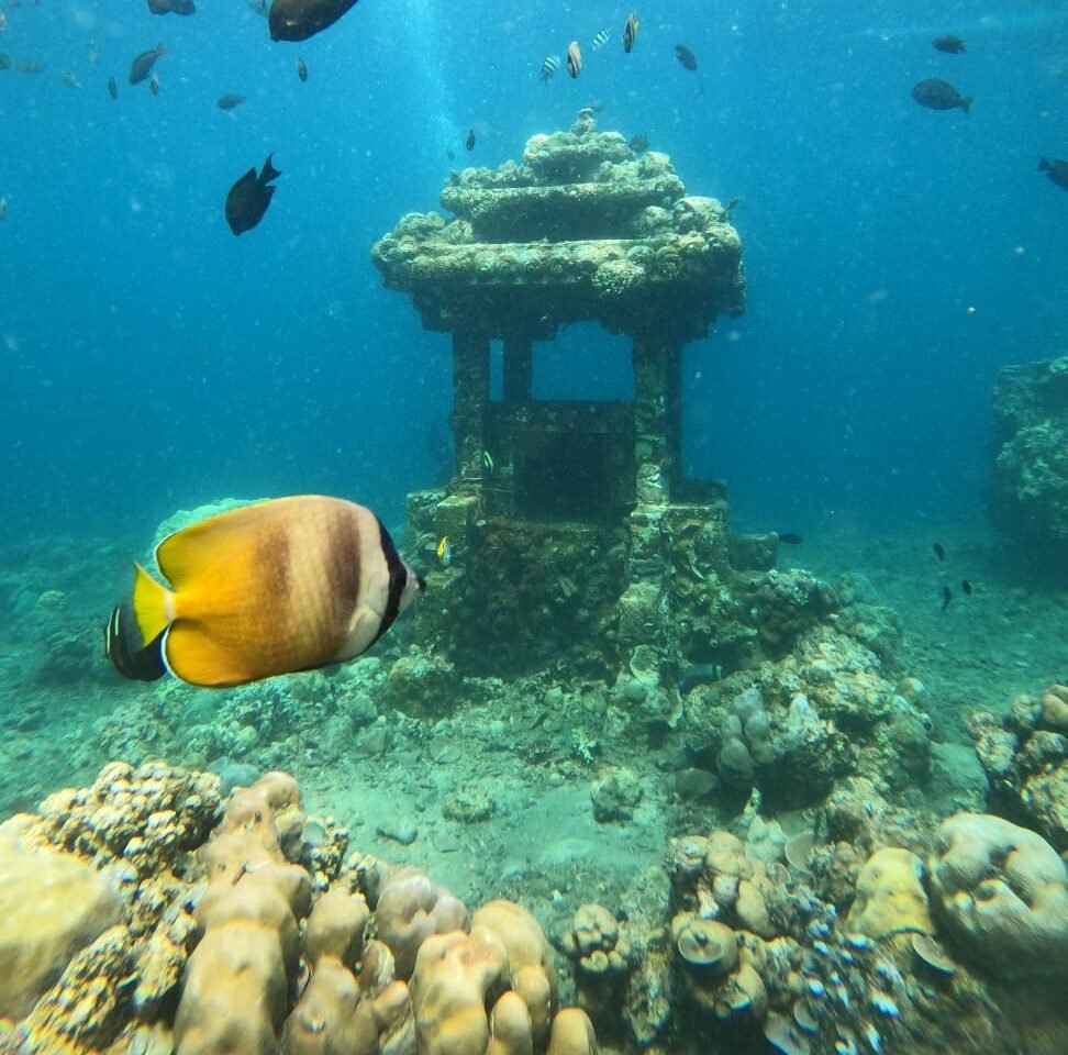 Snorkelling